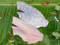 SKIN ON TILAPIA FILLET